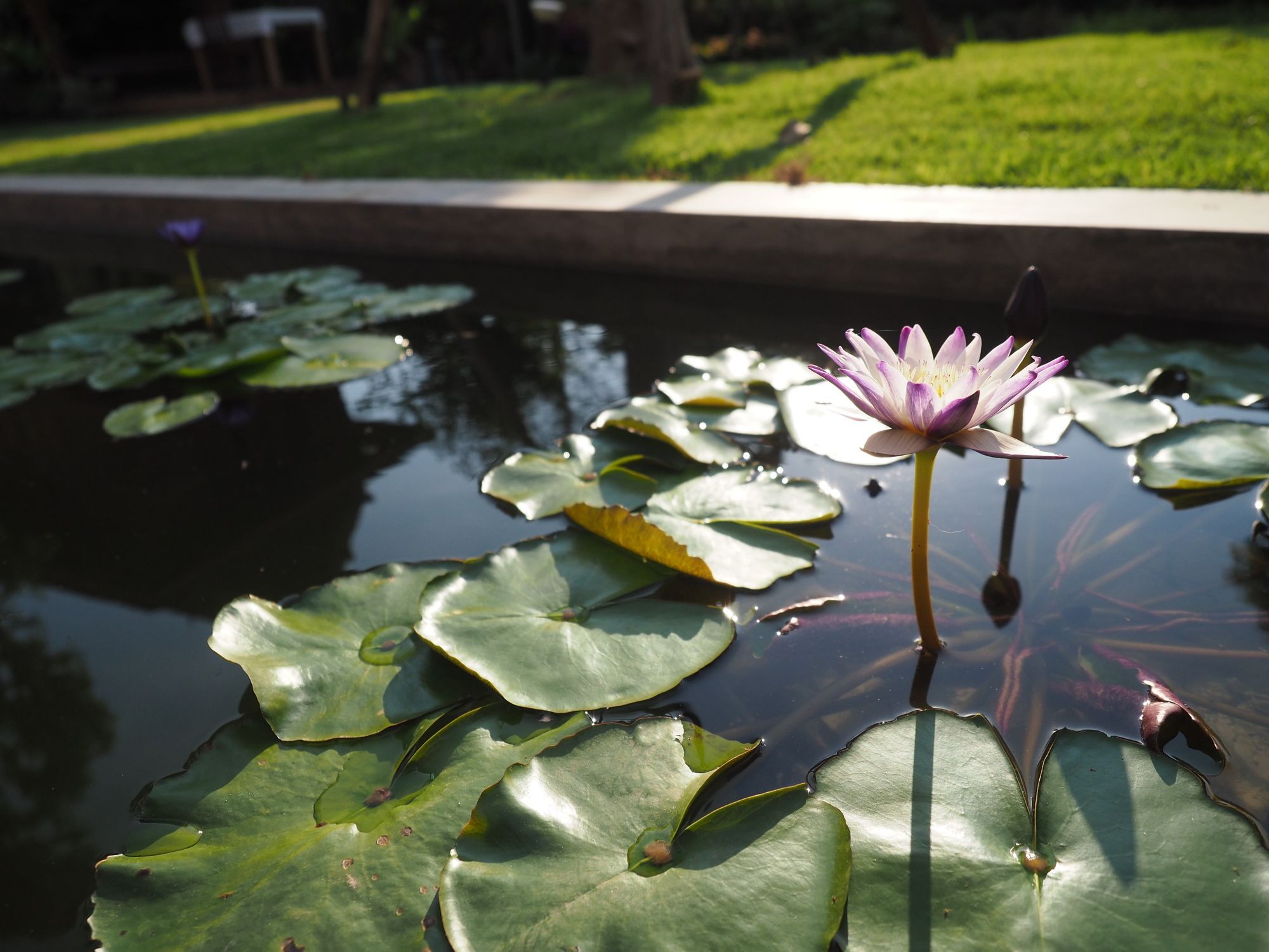 Amata Lanna Village อมตะล้านนาวิลเลจ Chiang Mai Esterno foto